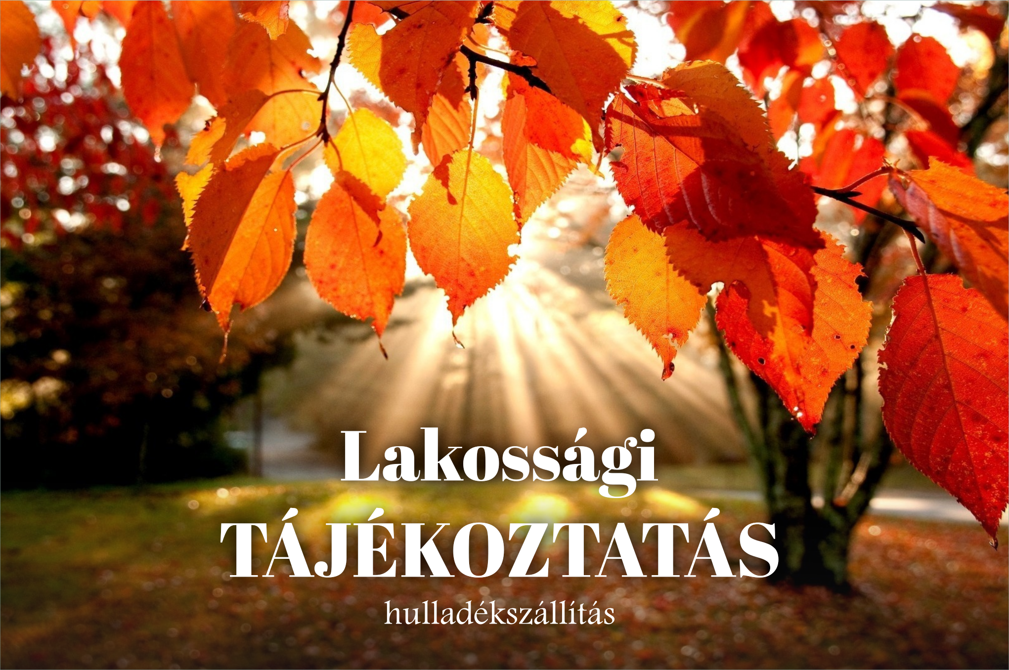 Zöld Híd - Lakossági tájékoztató: Újraindult a zöldhulladék gyűjtés szolgáltatás