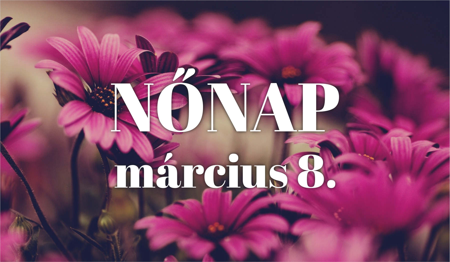 Nőnap - 2019. március 8.